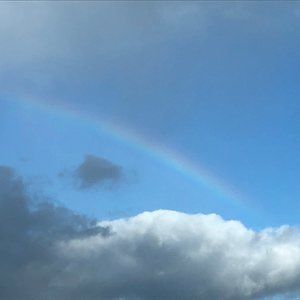 Meet your Posher, Zephyr Z